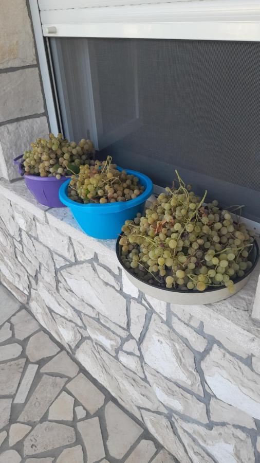 Kamena Kuca Family Rodin Apartman Čapljina Kültér fotó